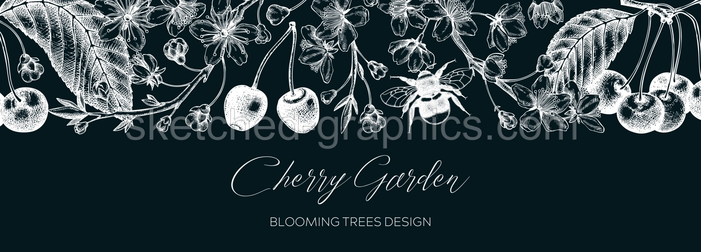 Spring background on chalkboard. Cherry blossom tree border in sketch style. Vector banner with hand drawn cherry berries, leaves, flowering branches illustrations. Vintage Sakura banner design Illustration